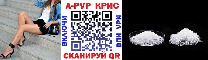 A PVP СК КРИС Долгопрудный