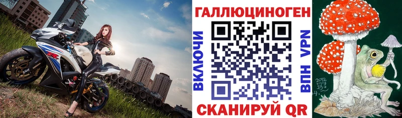 где найти наркотики  Долгопрудный  Галлюциногенные грибы Magic Shrooms 